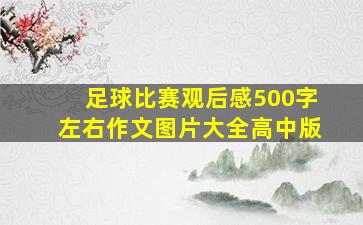 足球比赛观后感500字左右作文图片大全高中版