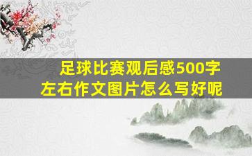 足球比赛观后感500字左右作文图片怎么写好呢