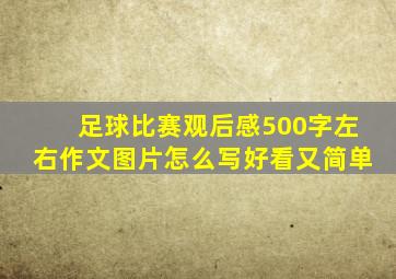 足球比赛观后感500字左右作文图片怎么写好看又简单