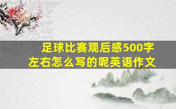 足球比赛观后感500字左右怎么写的呢英语作文