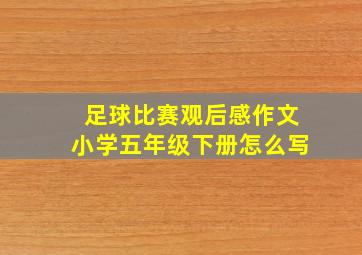 足球比赛观后感作文小学五年级下册怎么写