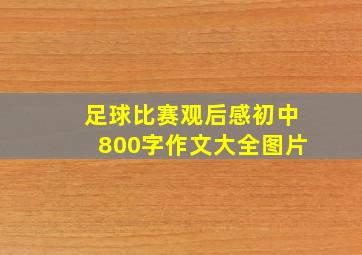 足球比赛观后感初中800字作文大全图片