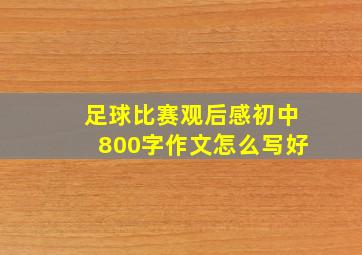 足球比赛观后感初中800字作文怎么写好