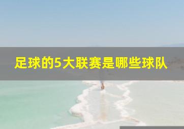 足球的5大联赛是哪些球队