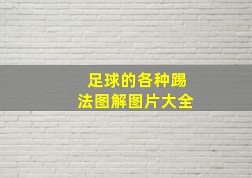 足球的各种踢法图解图片大全