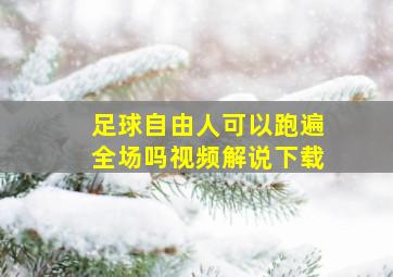 足球自由人可以跑遍全场吗视频解说下载