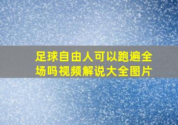 足球自由人可以跑遍全场吗视频解说大全图片