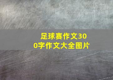 足球赛作文300字作文大全图片