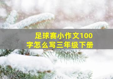 足球赛小作文100字怎么写三年级下册