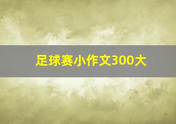 足球赛小作文300大