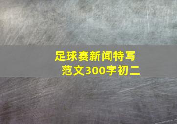 足球赛新闻特写范文300字初二