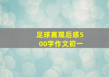 足球赛观后感500字作文初一