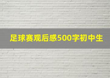 足球赛观后感500字初中生