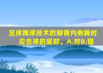 足球踢球技术的脚背内侧踢时应击球的底部。A.对B.错