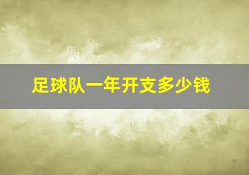 足球队一年开支多少钱