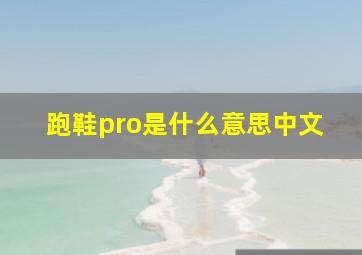 跑鞋pro是什么意思中文