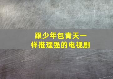 跟少年包青天一样推理强的电视剧