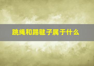 跳绳和踢毽子属于什么