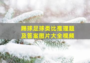 踢球足球类比推理题及答案图片大全视频