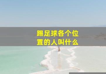 踢足球各个位置的人叫什么