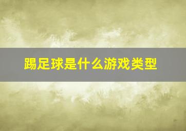 踢足球是什么游戏类型