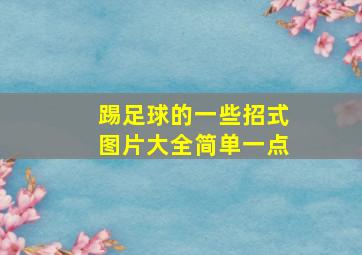 踢足球的一些招式图片大全简单一点