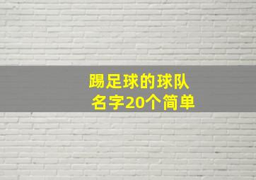 踢足球的球队名字20个简单