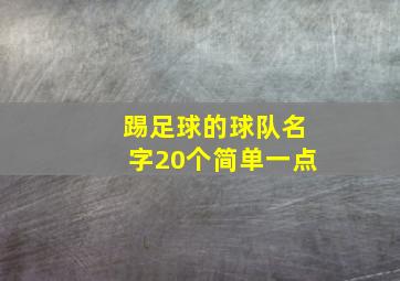 踢足球的球队名字20个简单一点