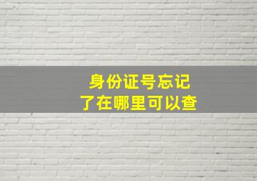 身份证号忘记了在哪里可以查