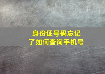 身份证号码忘记了如何查询手机号