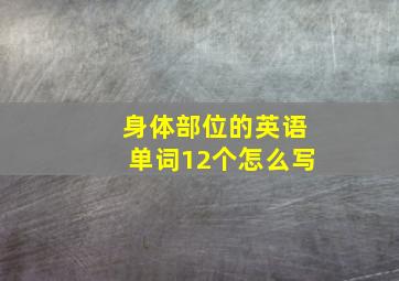 身体部位的英语单词12个怎么写