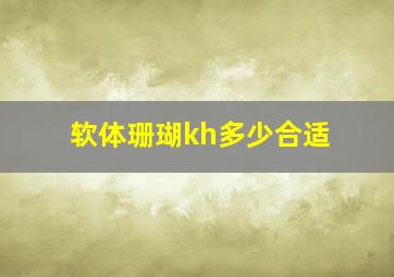 软体珊瑚kh多少合适