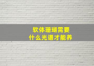 软体珊瑚需要什么光谱才能养