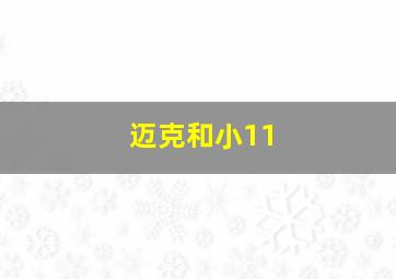 迈克和小11