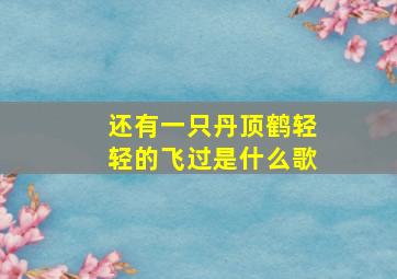 还有一只丹顶鹤轻轻的飞过是什么歌