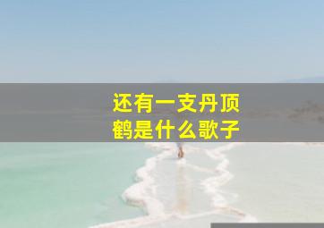 还有一支丹顶鹤是什么歌子