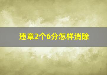 违章2个6分怎样消除