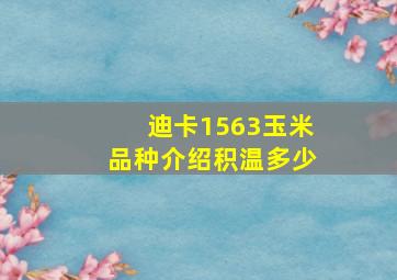 迪卡1563玉米品种介绍积温多少