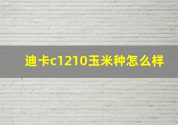 迪卡c1210玉米种怎么样