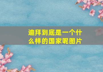 迪拜到底是一个什么样的国家呢图片