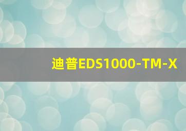 迪普EDS1000-TM-X