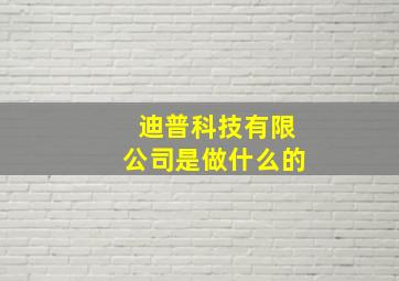 迪普科技有限公司是做什么的