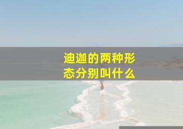 迪迦的两种形态分别叫什么