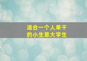 适合一个人单干的小生意大学生