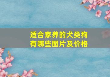 适合家养的犬类狗有哪些图片及价格