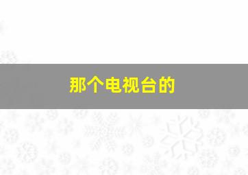 那个电视台的