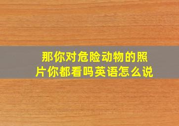 那你对危险动物的照片你都看吗英语怎么说