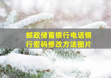 邮政储蓄银行电话银行密码修改方法图片