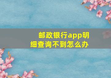 邮政银行app明细查询不到怎么办