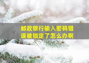 邮政银行输入密码错误被锁定了怎么办啊